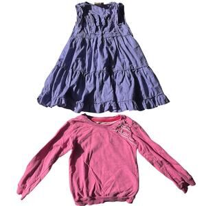 Beautees Purple Sleeveless Dress size 3T | Joe Pink Sweatshirt size 5T |Bundle 2